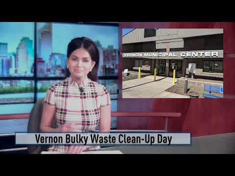 Vernon Waste Cleanup