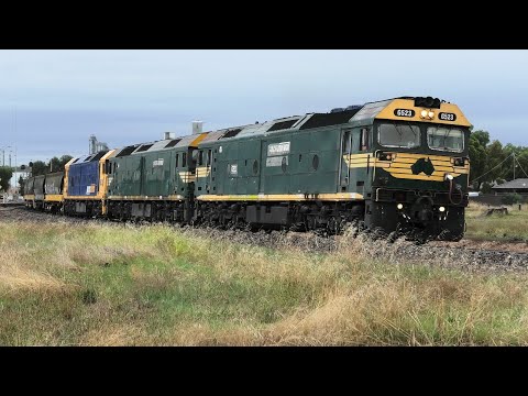G523-539-BL31 on 7937V at Dunolly.  22-03-21.
