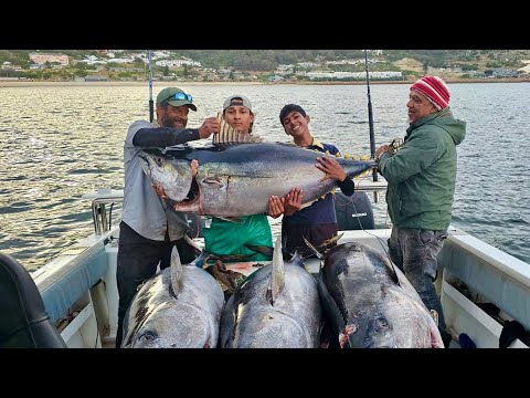 Epic Tuna Experience off Cape Point!
