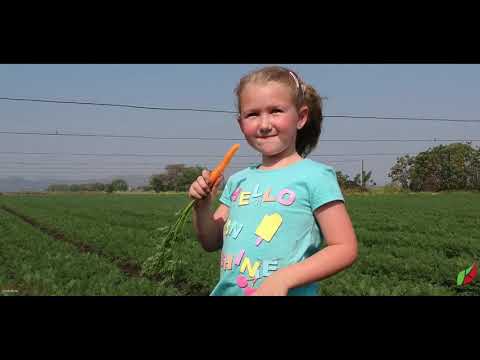 Suksesstorie Video 1, Brits, Noord-Wes