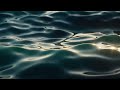 Synthwave. Karl Casey - Promise | Midnight