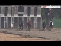 Box Derby Greyhound Derby 2018 Best Moments