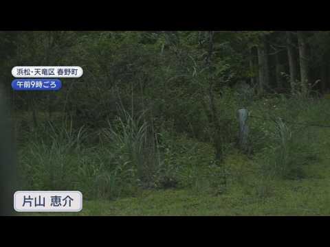 YouTube Video 森林組合の職員がクマに左腕を引っかかれ軽いけが　クマによる人的被害は県内では４年ぶり、浜松市では５年ぶり　浜松市天竜区