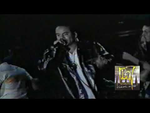 Dj Nelson The Flow El Concierto En Vivo