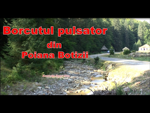 Borcutul pulsator