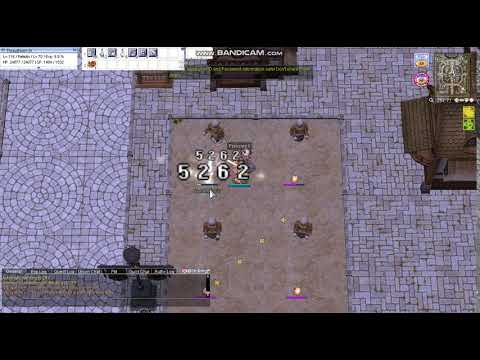 Ragna0.com - Paladin (Mid-game equipment)