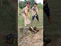 Tiktok Comedy Video Funny Comedy Tiktok Shorts Viral