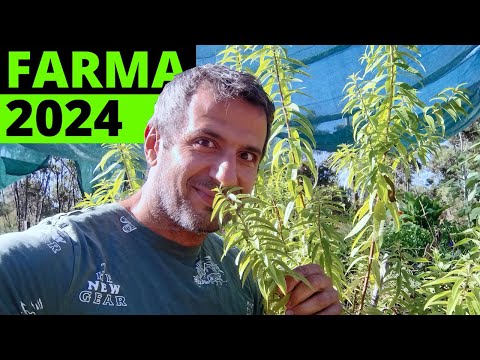 Moja farma w Portugalii - zobacz co nam urosło #FarmaZachara