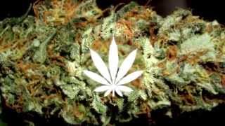 Sir Michael Rocks, Astro, SkyBlew, El Prez, Clay James - Untouchable