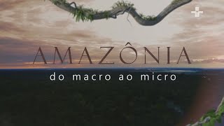 AMAZÔNIA DO MACRO AO MICRO | A BACIA AMAZÔNICA E AQUÍFEROS