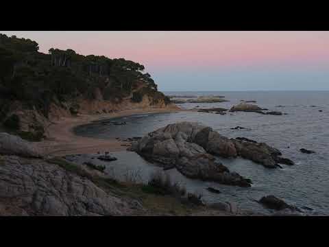 TOTI SOLER -La Teva Veu