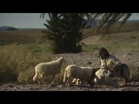 Bibelrätsel Teil 2 - Der Garten Eden - Auf den Spuren von Adam und Eva | Bibel Dokumentation