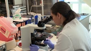 Travel Medicine - Health Matters