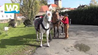 preview picture of video 'Pony-Express im Werra-Meißner-Kreis'