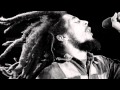 Bob Marley - Baby We' ve got - A date 