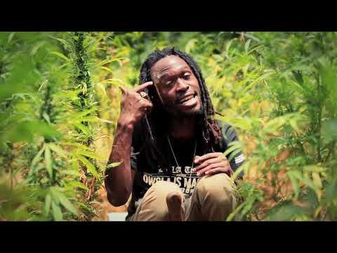 Xavi Phạm-Cần Ha