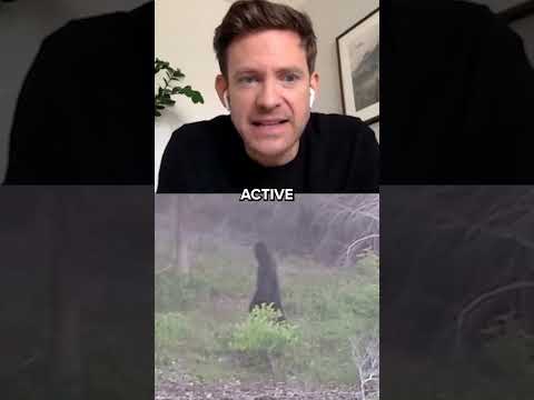 Evidence of Bigfoot | Talking Strange