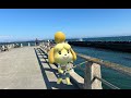 Sea Bass A Vannamelon Fan Video