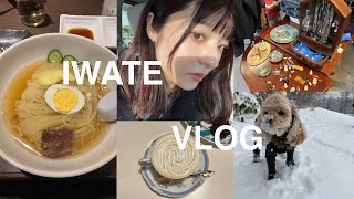 岩手 vlog |食多め年末年始爆食い記録🇯🇵盛岡ローカルフード🍣|オススメ古着屋🛍️|喫茶店☕️