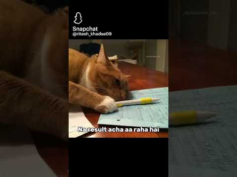 relatible  hsgvsv;! *πhhsge°¢$bbd:::gzgzzg