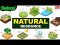 Natural Resource | Types of Natural Resources | Renewable & Non-Renewable Resources