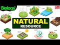 Natural Resource Types Of Natural Resources Renewable Non Renewable Resources