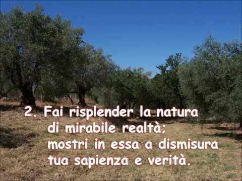 024  NELL'IMMENSO CIELO