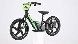 Children's electric balancer RIRIBIKE RTX6 24V (16"), green, Lithium battery, 250W motor, Disc brake