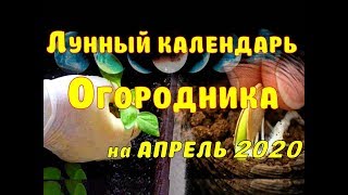 Финский рыболовный календарь на апрель 2020