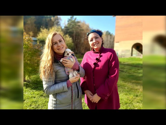 «Живая среда»