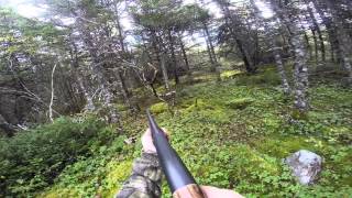 preview picture of video 'Rabbit Hunting - Big Pond 13 October 2014 First Rabbit of the 2014 / 2015 Season'