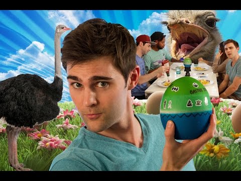 download lagu mp3 mp4 Ostrich Egg Nutrition Facts, download lagu Ostrich Egg Nutrition Facts gratis, unduh video klip Ostrich Egg Nutrition Facts