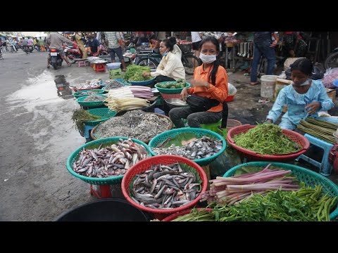 Evening Food Market Scene at Phsa Samhanh - Walk Around Street Food @Sam Hanh Market