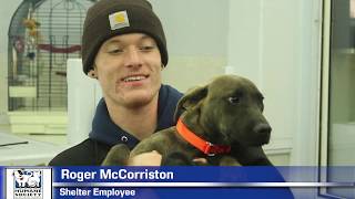 DOCUMENTARY 1st RUNNER UP: The  Humane Society of Atlantic County