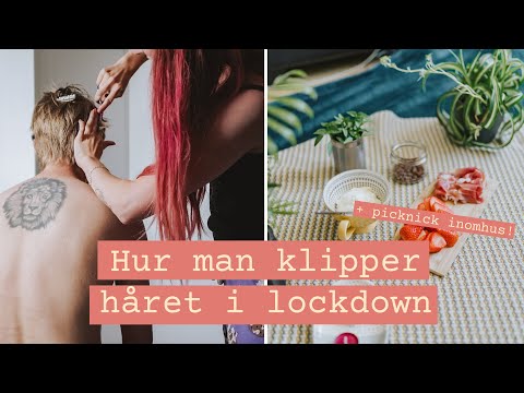 Klipper min pojkväns hår hemma & picknick inomhus | Livet i Lilla Kollektivet