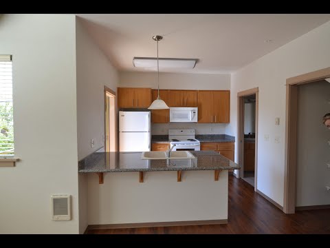 Duck Pond - Video 2 of 2