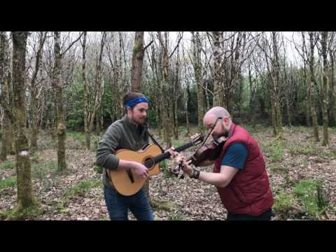Fergal Scahill's fiddle tune a day 2017 - Day 112 - The Oak Tree