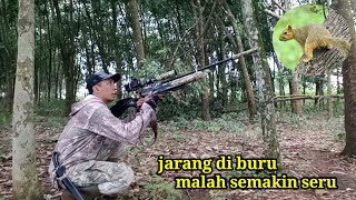 Download lagu SQUIRREL HUNTING 🔴 RARELY HUNTED, BUT MORE EXCITING @Ayuk Sniper Tanggamus mp3