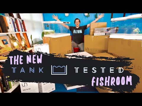 Setting Up Your Dream Fishroom: Equipment & Organization