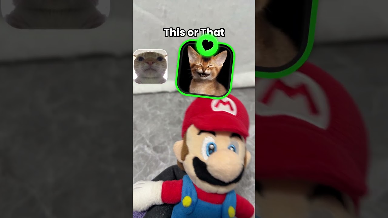 Mario This or That Cat #supermario #marioplush