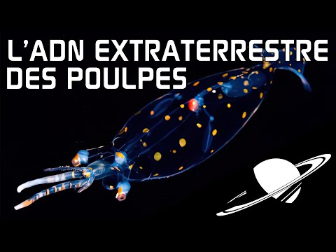 🪐Extraterrestrial DNA discovered in an octopus