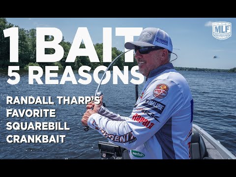 1 Bait, 5 Reasons: Randall Tharp’s Favorite Squarebill Crankbait