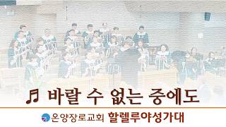 바랄 수 없는 중에도