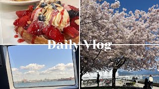 バンクーバーVlog/桜/永住権/カフェ