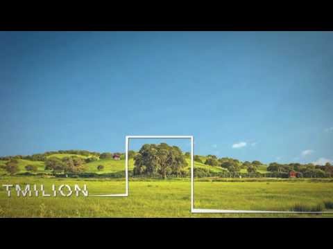 QBAKU X WZK - TMILION