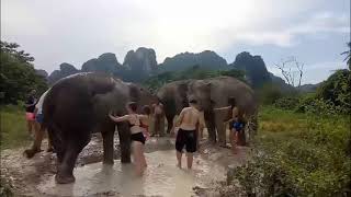 preview picture of video 'Elephant Sanctuary in Krabi'