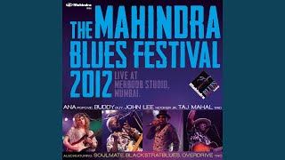 Queen Bee (Live at The Mahindra Blues Festival 2012)