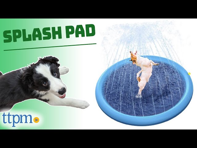 Do dogs like splash pads?