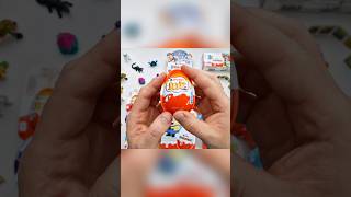 Do you remember this Kinder Joy collection?