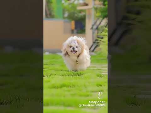 anee lassanayi neda💜💜